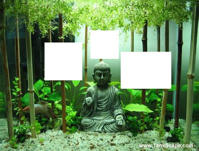 bouddha Montaje fotografico