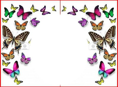 papillon c Fotomontáž