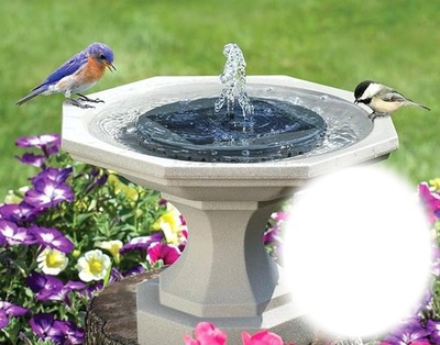 Bain d'oiseaux - fontaine Фотомонтаж