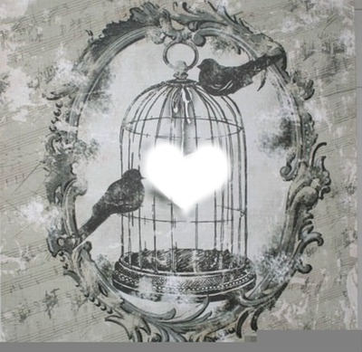 amour en cage Photomontage