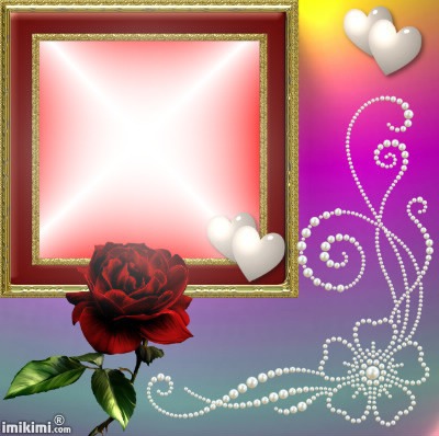 rosa para un amor Montaje fotografico