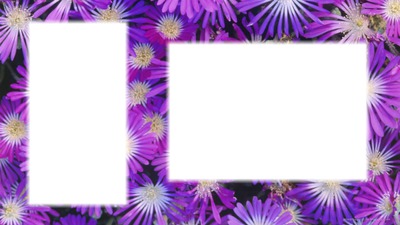 violette Fotomontaggio