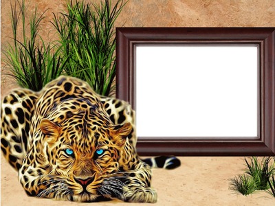 animal, leopard Fotomontāža