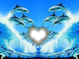 coeur a dauphins Fotomontage