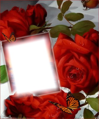 Cadre avec des roses Montaje fotografico