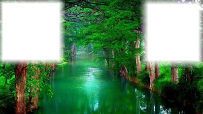 erdő Fotomontage