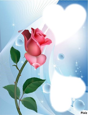 jolie rose Fotomontaggio