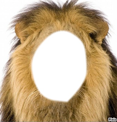 lion head Fotomontaža