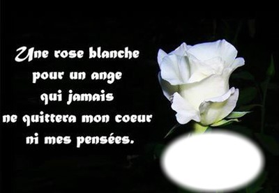 rose blanche Fotomontáž