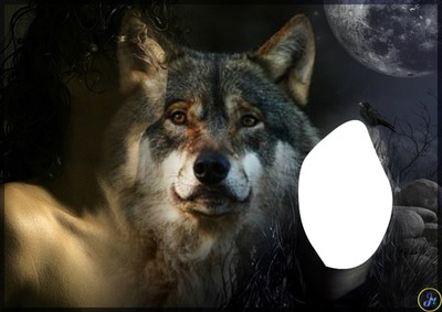 Волк Фотомонтаж