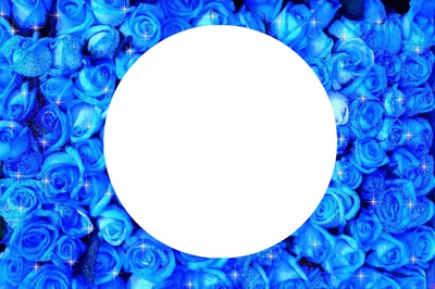 rose bleu Montaje fotografico