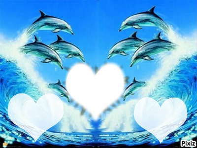 trois dauphin Фотомонтаж