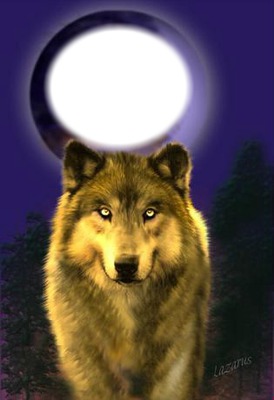 loup lune Montaje fotografico