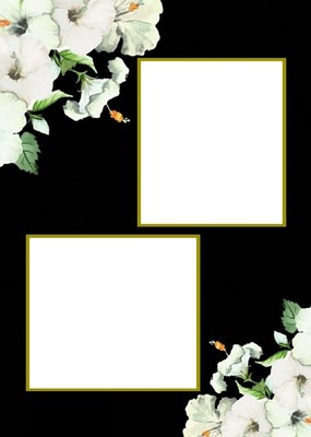 marco en fondo negro y flores blancas. Φωτομοντάζ