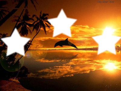couché de soleil avec dauphin Photo frame effect