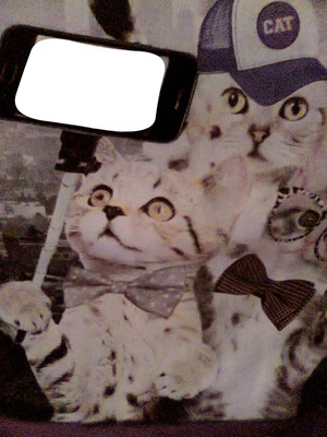 Selfie de gato Фотомонтаж