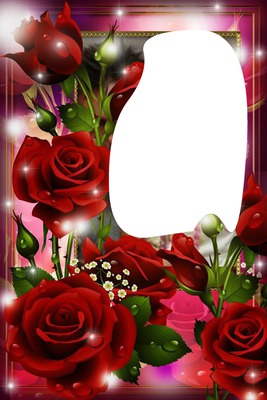 marco de rosas rojas con foto Valokuvamontaasi