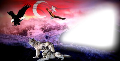 poyraz türk Photomontage