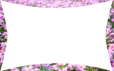 flower background Photo frame effect