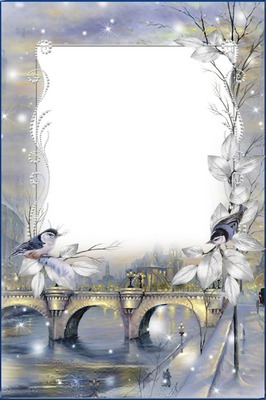 Cadre - pont - oiseaux - fleurs