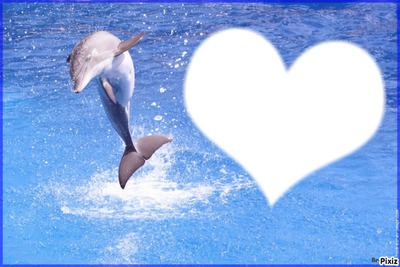 coeur en dauphin Fotomontáž