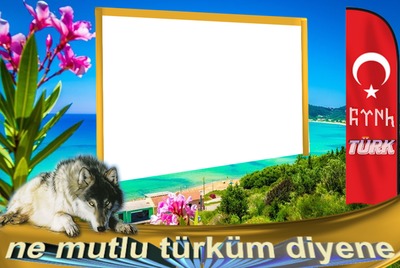 bozkurt ülkücü türk bayrağı Fotoğraf editörü