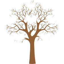 arbre genealogique Fotomontaż