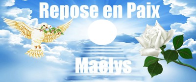 Hommage Maelys Montage photo