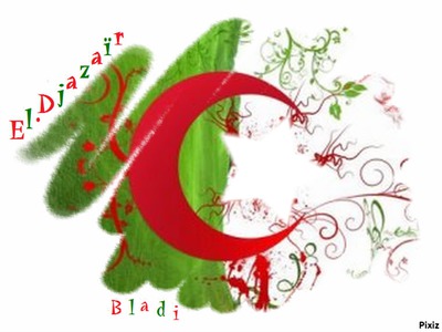 Algerian flag フォトモンタージュ