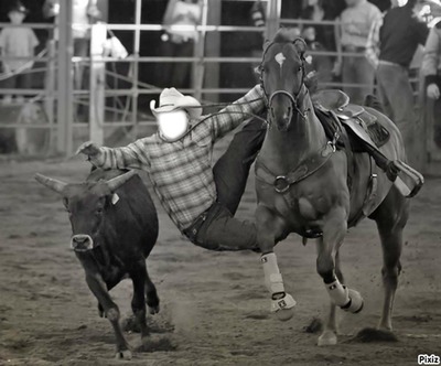 rodeo Photomontage