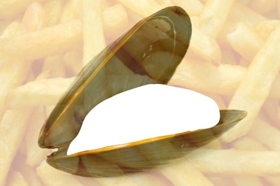 MOULE-FRITE Photo frame effect