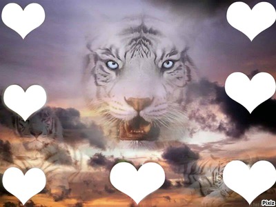 White Tiger Fotomontáž