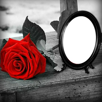 Cadre rose rouge Фотомонтаж