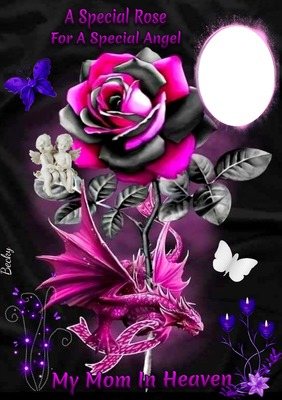 a special rose Fotomontáž