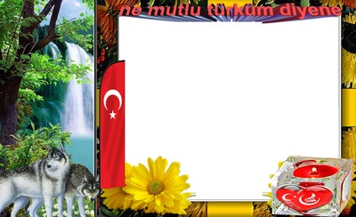 bozkurt türk bayrağı. Photo frame effect