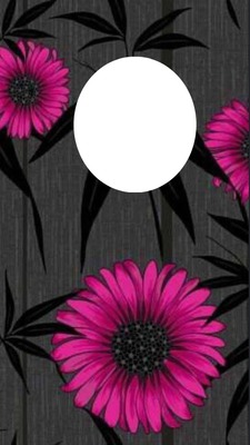 pink daisy Photo frame effect