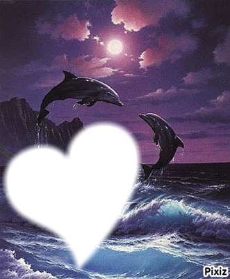 dauphin avec coeur Fotomontaža