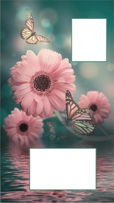 collage, 2 fotos, fondo flores y mariposas. Montage photo