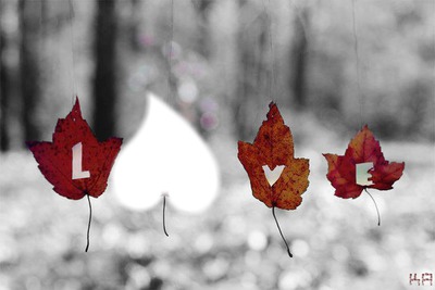 Autumn Love Valokuvamontaasi