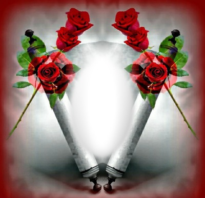 Roses rouge Fotomontaža