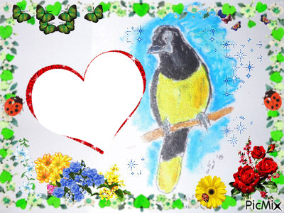 Le géai acahé (oiseau vit en Amérique du sud) dessiné par Gino Gibilaro avec fleurs,coccinelles,papillons