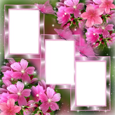 cadre fleurs* Fotomontagem