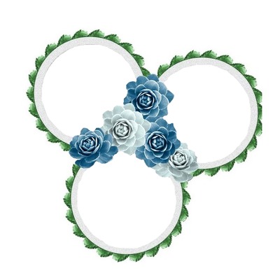 3 círculos unidos con flores azules. Photo frame effect