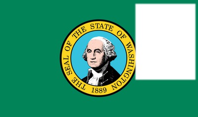 Washington Flag Montaje fotografico