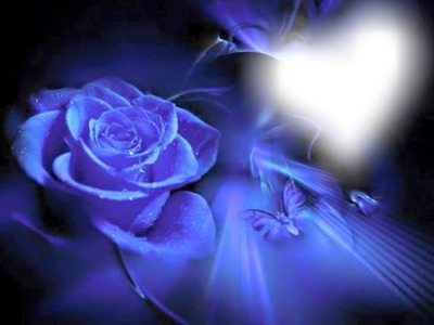 rose bleue Fotomontaža