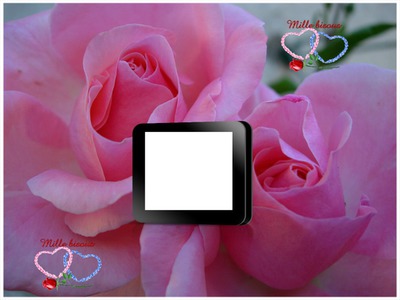 Mille Bisous Photo frame effect