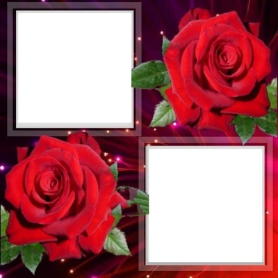 🌷 cuadro1 🌷 Photo frame effect