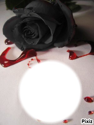 rose noir Fotomontasje