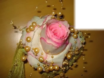 rose avec perles Montage photo