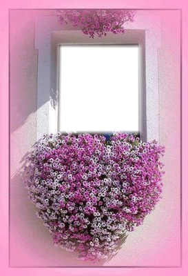 fleurs Fotomontage